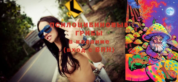 ПСИЛОЦИБИНОВЫЕ ГРИБЫ Нефтекумск