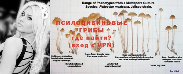 альфа пвп VHQ Беломорск