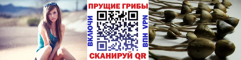 Псилоцибиновые грибы ЛСД  Сарапул 