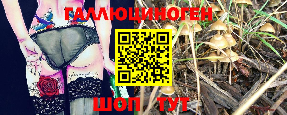 где купить наркоту  Вход с VPN  Галлюциногенные грибы Psilocybe  Сарапул  Галлюциногенные грибы Psilocybine cubensis 