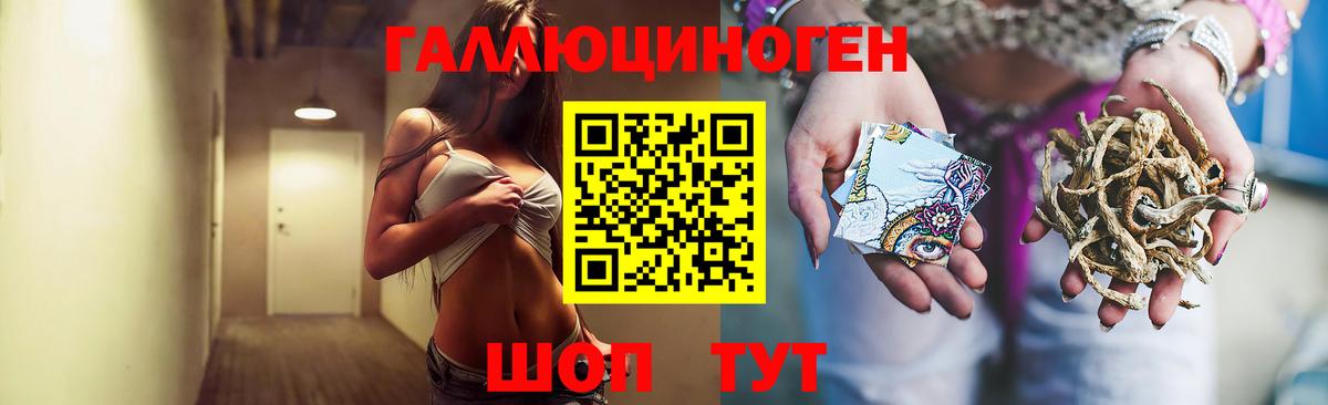 Галлюциногенные грибы Psilocybe  Сарапул 